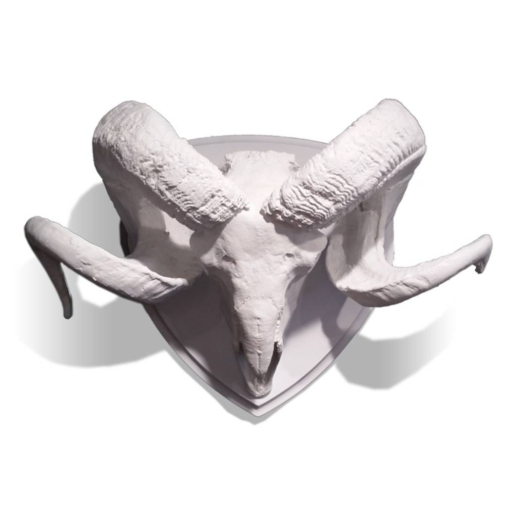 Ram Skull With Horns Wall Decor For Your Home