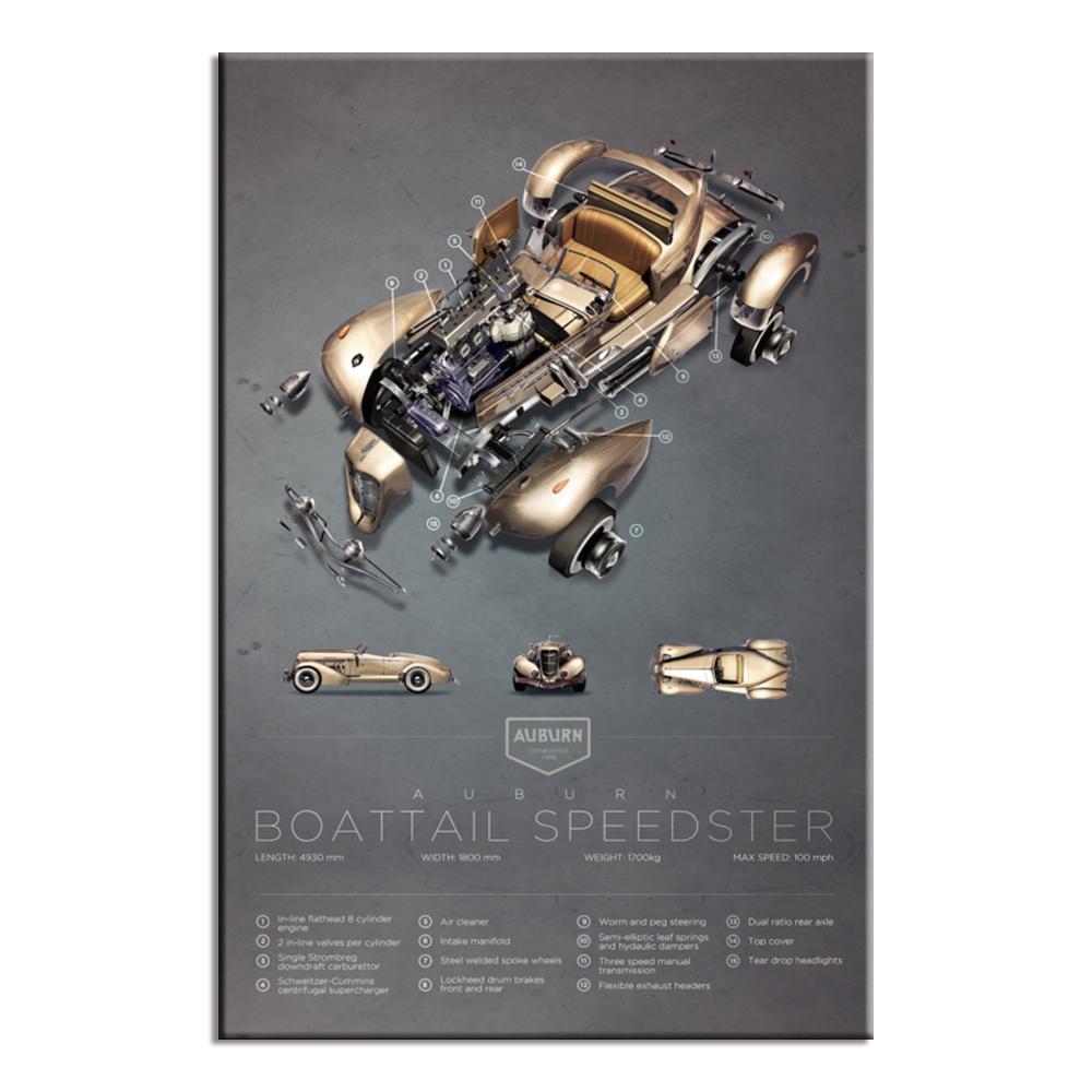 Auburn Boattail Exploded View | Lynx Art